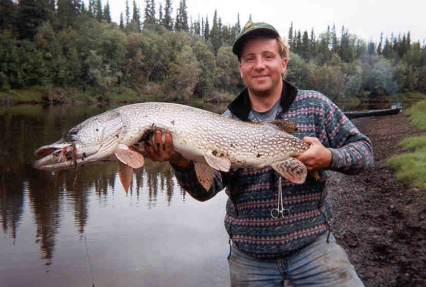 This angler caught one of the many large Northern  Pike that the Dall River produces.